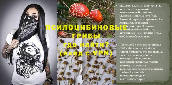 mdpv Михайловск