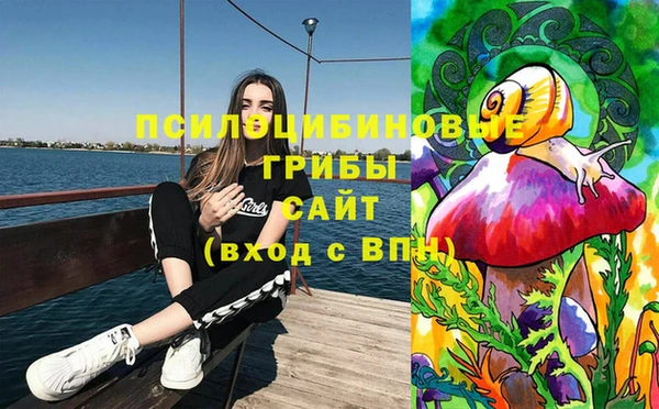 mdpv Михайловск