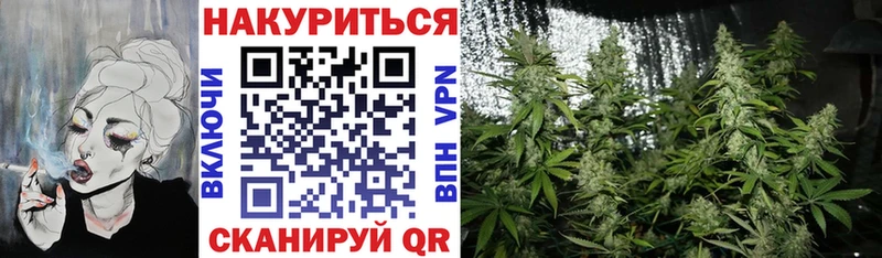 Бошки марихуана SATIVA & INDICA  Купить закладки  Дедовск 